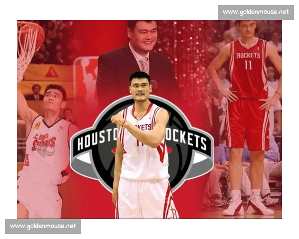 姚明领衔 NBA 身高标杆：詹库入选，杜兰特为何落选？